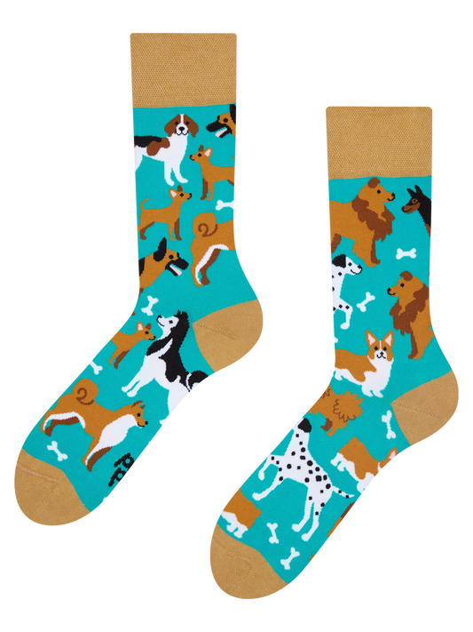 regular-socks-dog-friends-02-8b/8b3eb93e31942c9c218e51bde9f139096389bd45