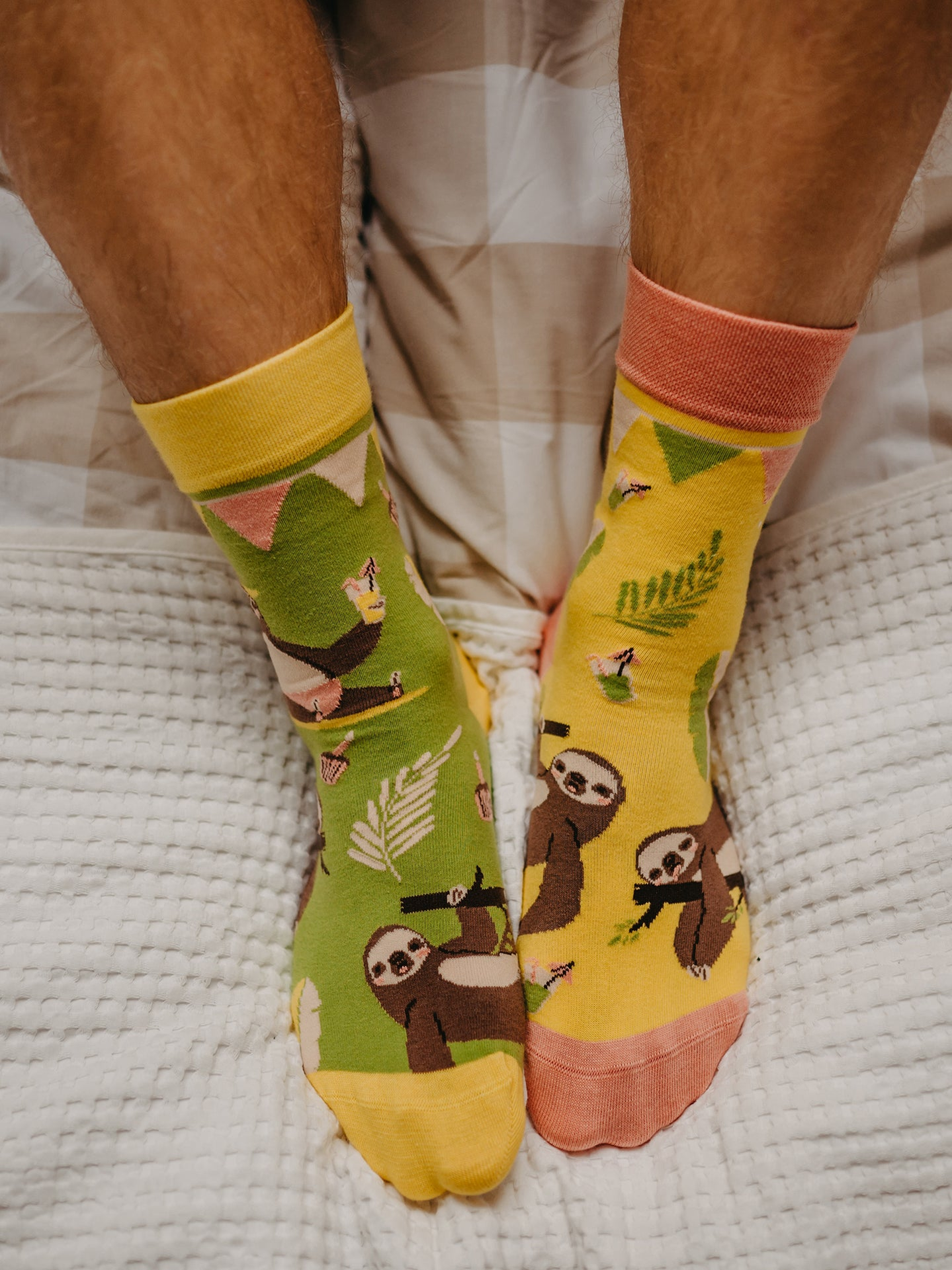 regular-socks-party-sloth-02-4c/4c77ceaa62d5bf0eb602caaab0767bd5ed37ea4f
