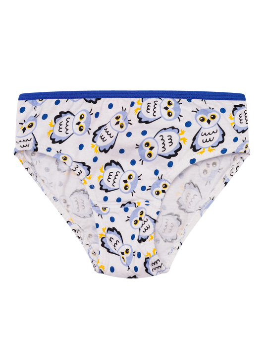 girls-briefs-snow-owl-97/9767286f8d7dce8cb15d71f5e4b9965ec998fa09