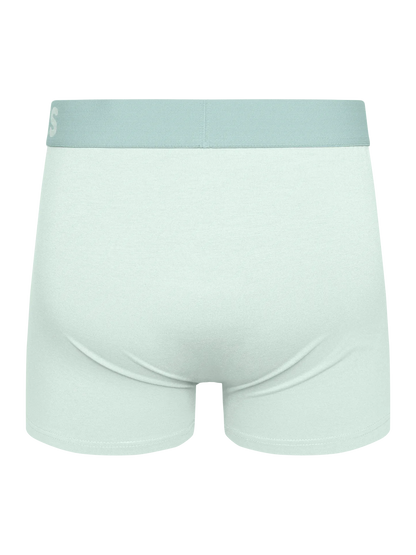 mint-green-mens-trunks-cb/cb52ca28c107140145df1536c89a8e93942aa526
