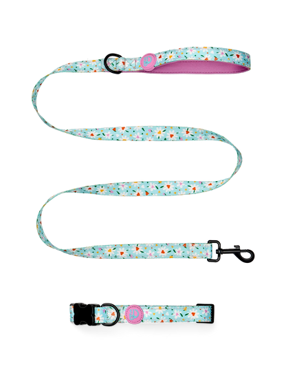 dog-leash-hearts-daisies-f3/f386ae35189c49ab5931860addbf500dee53dc85