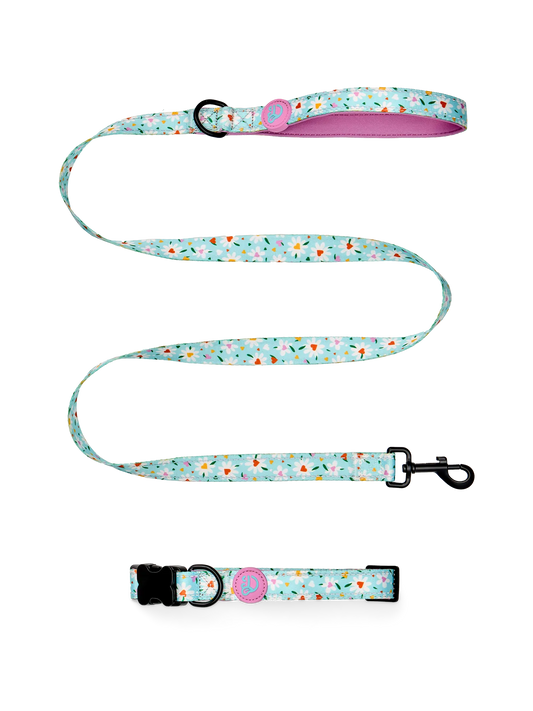 dog-leash-hearts-daisies-f3/f386ae35189c49ab5931860addbf500dee53dc85