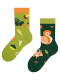 Calcetines infantiles alegres Ardilla
