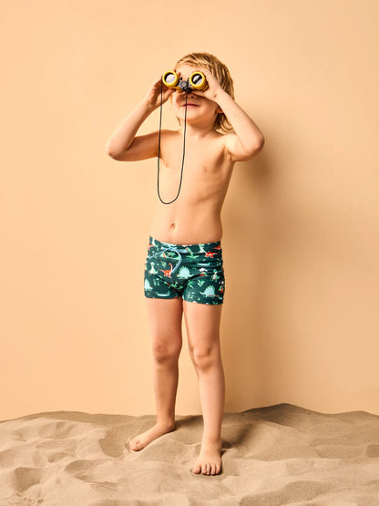 kids-elastic-swim-shorts-dino-skatepark-e0/e08bfc3383bcce027f68bedb5d23502ed35ba2b7