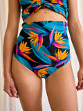 Braguitas de bikini MagicMix para mujer Ave del paraíso
