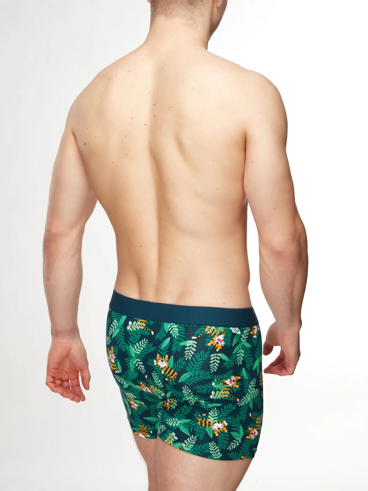 mens-trunks-tiger-e5/e5dd096291aa665ef9cd29ec80f8064d5602716c