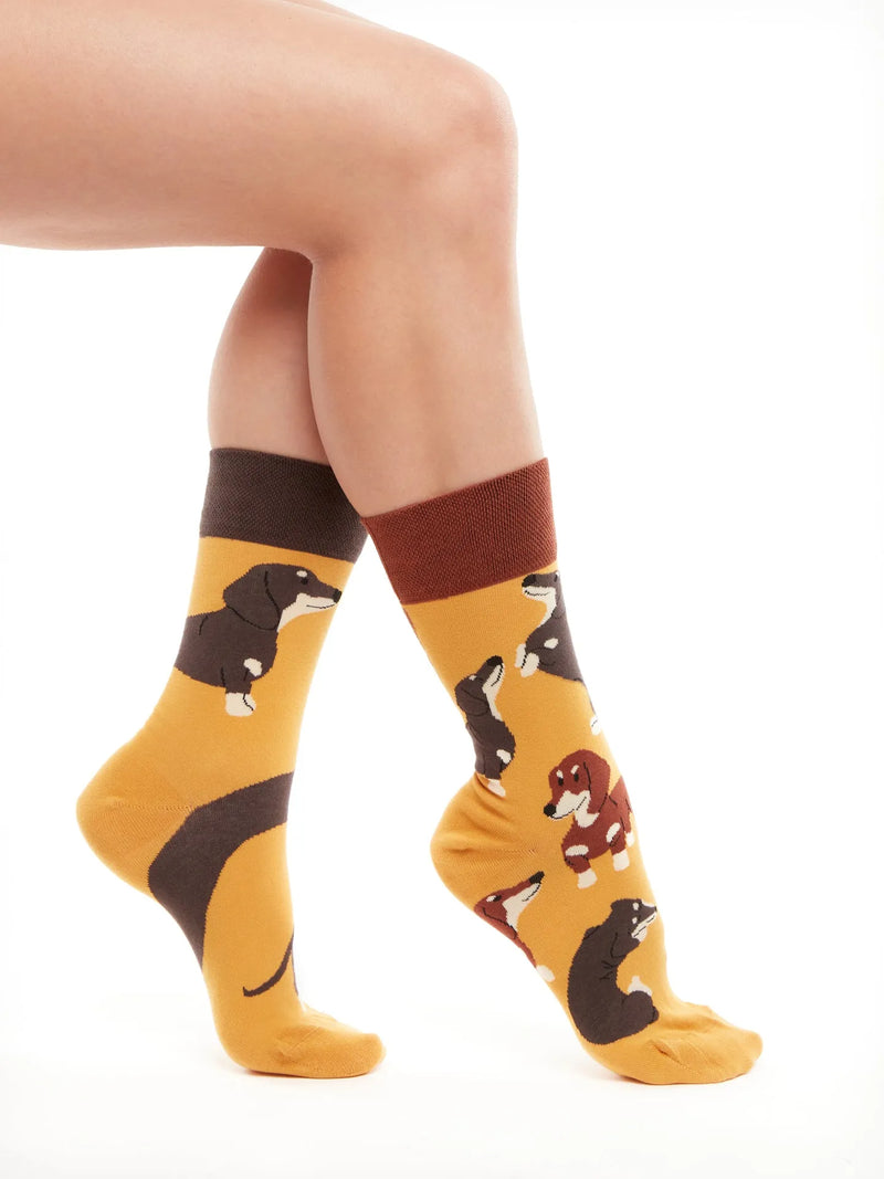 regular-socks-dachshunds-e9/e994965a856e0d07085d78c471b18cf688e04fce