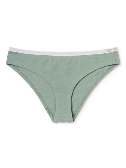 sage-green-womens-briefs-2-ea/eaf4c6488a8b24b9ed1480ceae50ed518735dede