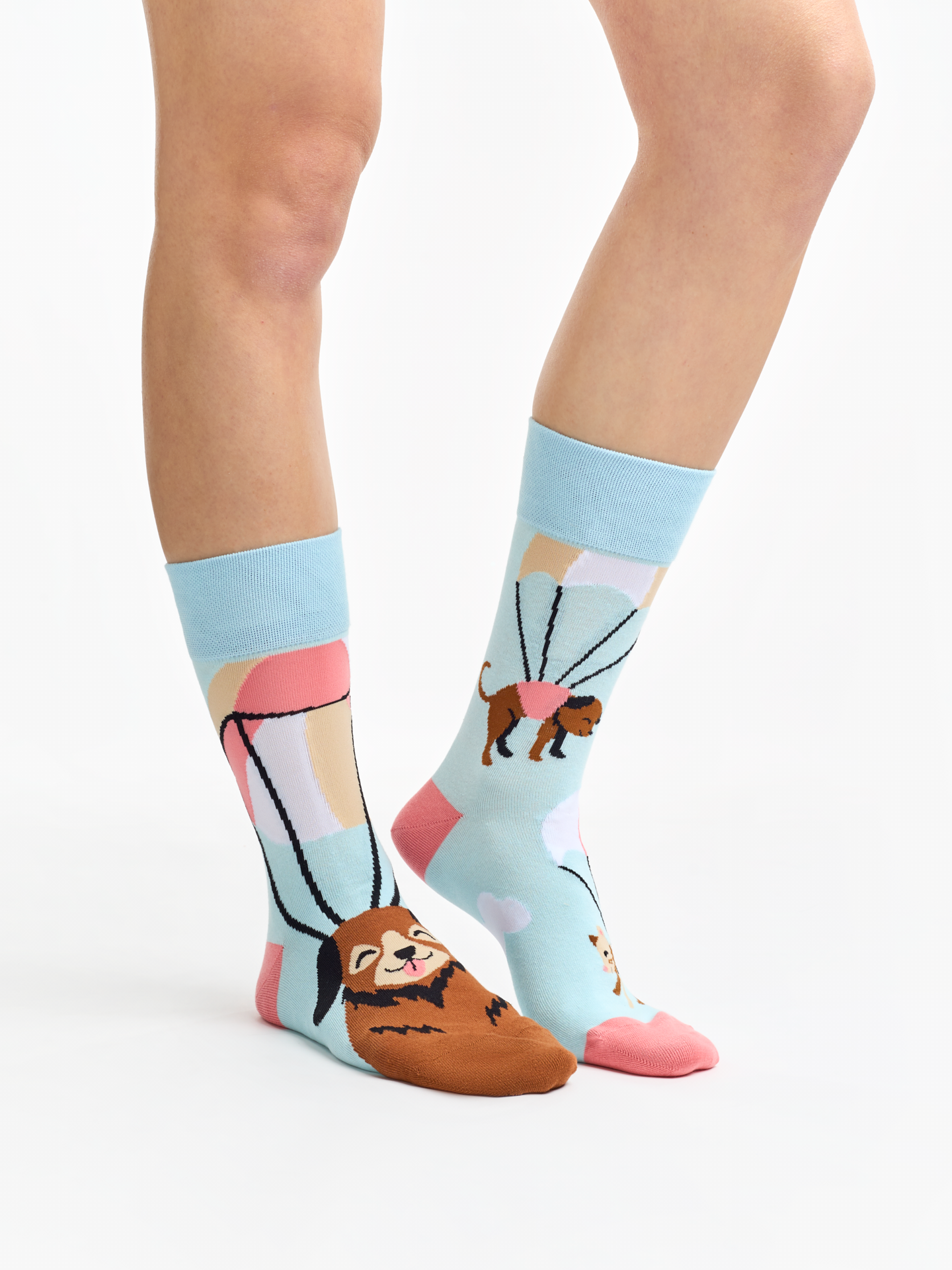 regular-socks-flying-cats-dogs-02-12/12830e14a4cc752737ace8bf4d1a79b1ae5f1a7c