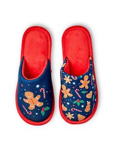 Pantuflas alegres Galletas de jengibre y dulces