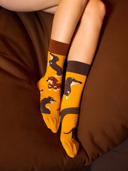 regular-socks-dachshunds-fb/fbaca3e48b7234e9c38abd63252e0f2a21a53511