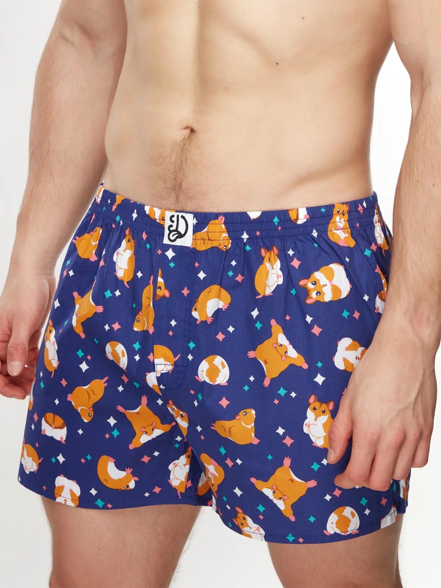 mens-boxer-shorts-hamster-49/4926e4c2bca299d296760ad118b02c54c5389aac
