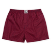 Calzoncillos estampados para hombre Azul y rojo