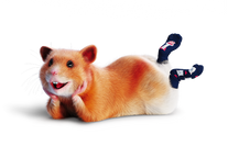 mascot