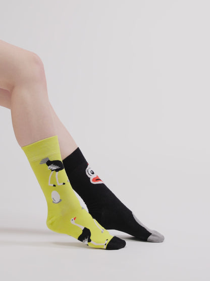 Calcetines alegres Avestruz